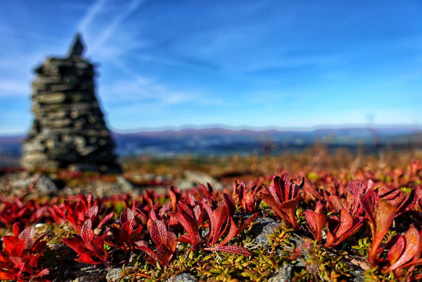 Høst i fjellet med varde Høst i fjellet med varde